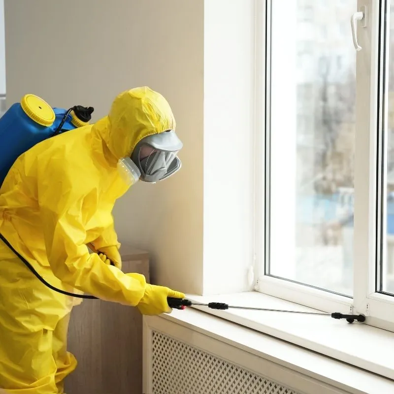 Technicien Certibiocide Anti-Nuisibles en intervention à Orléans